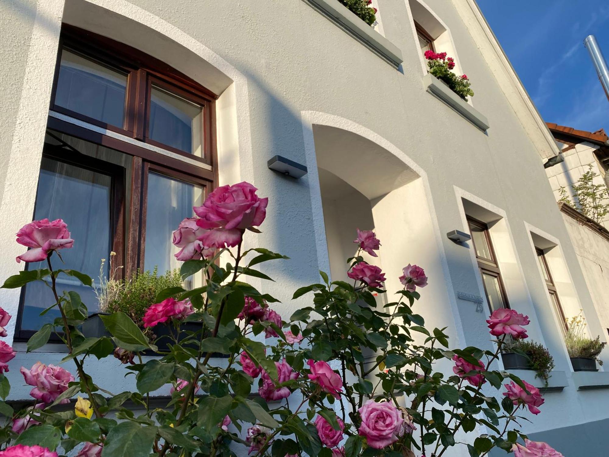 Reisekultouren Apartments Ντέτμολντ Εξωτερικό φωτογραφία